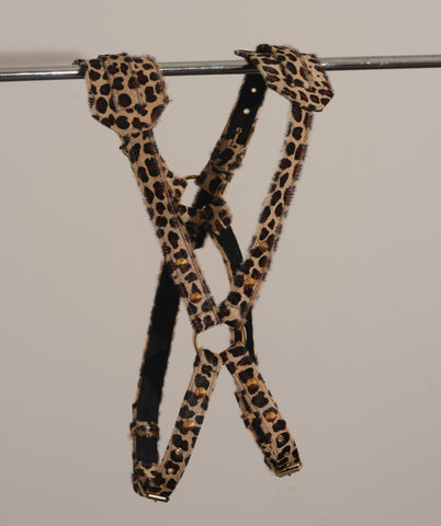 Anumal Print Harness