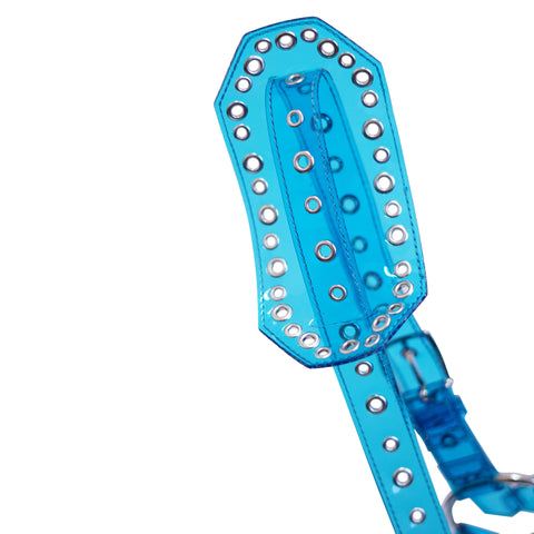 Neon Blue Clear Harness